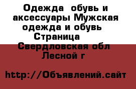 Одежда, обувь и аксессуары Мужская одежда и обувь - Страница 11 . Свердловская обл.,Лесной г.